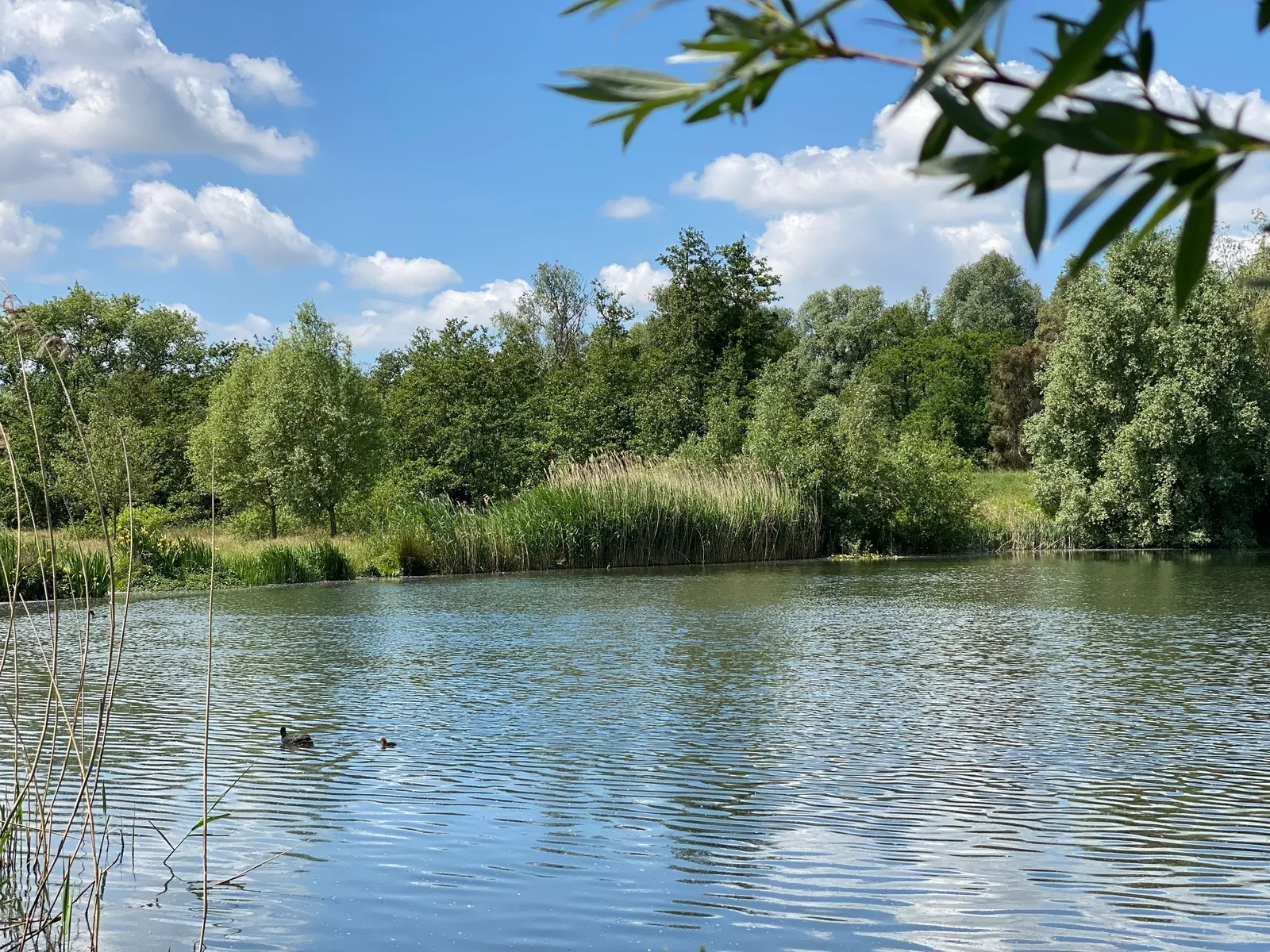 Natuurpark Overmeers