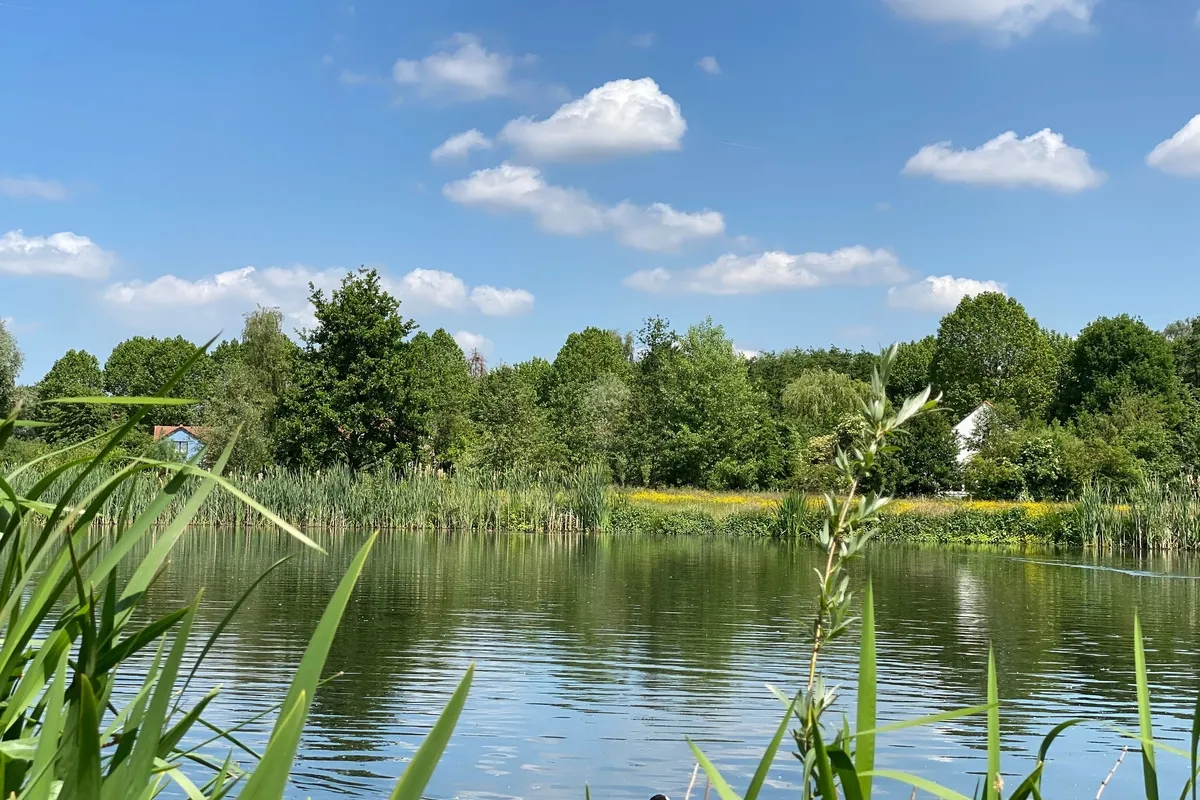 Natuurpark Overmeers