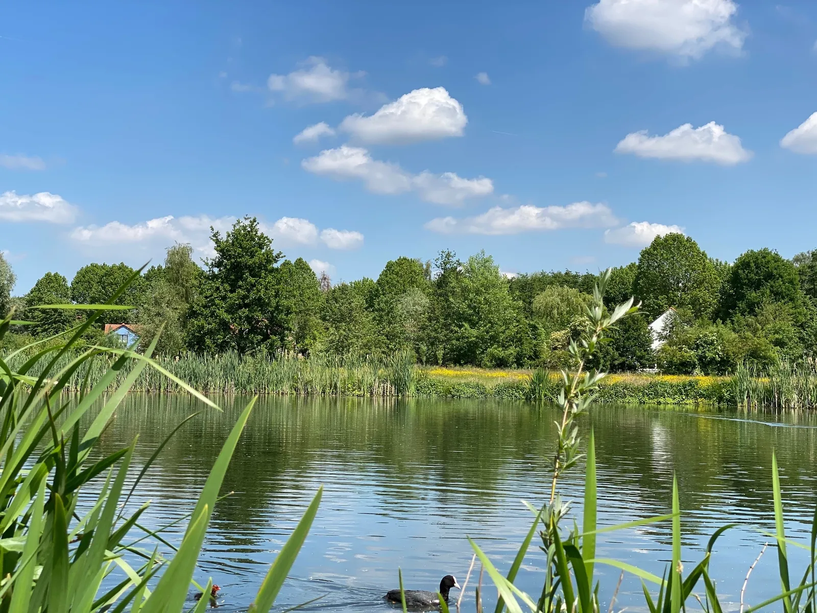 Natuurpark Overmeers