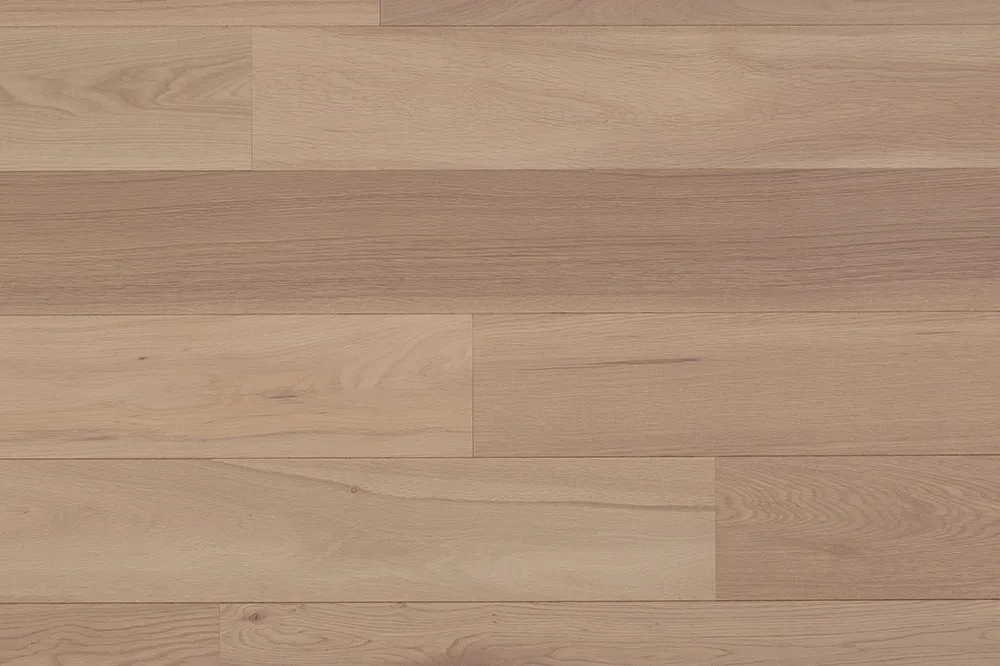 Bloei | Nieuwbouwappartementen te koop in Gent