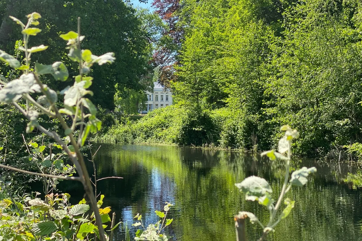 Algemeen natuur parkbos kastelenroute 1