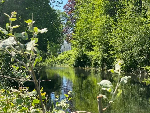 Algemeen natuur parkbos kastelenroute 1