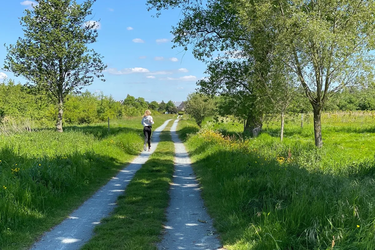 Algemeen Natuur parkbos kastelenroute 2