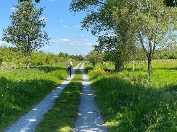 Algemeen Natuur parkbos kastelenroute 2