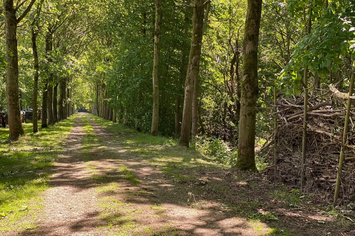 Algemeen natuur Parkbos Kastelenroute 3