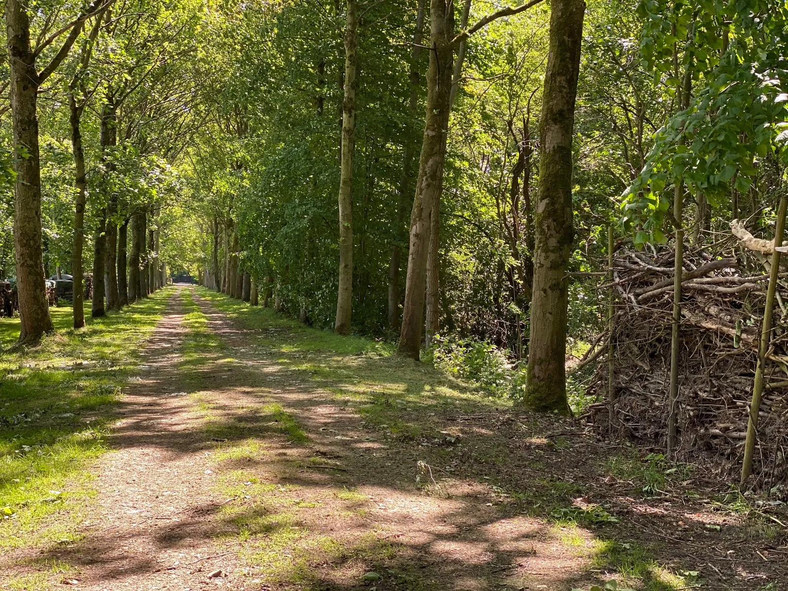 Algemeen natuur Parkbos Kastelenroute 3