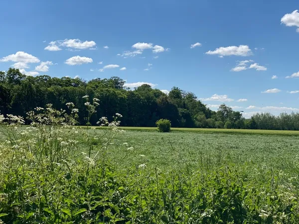 Algemeen natuur Parkbos Kastelenroute 4