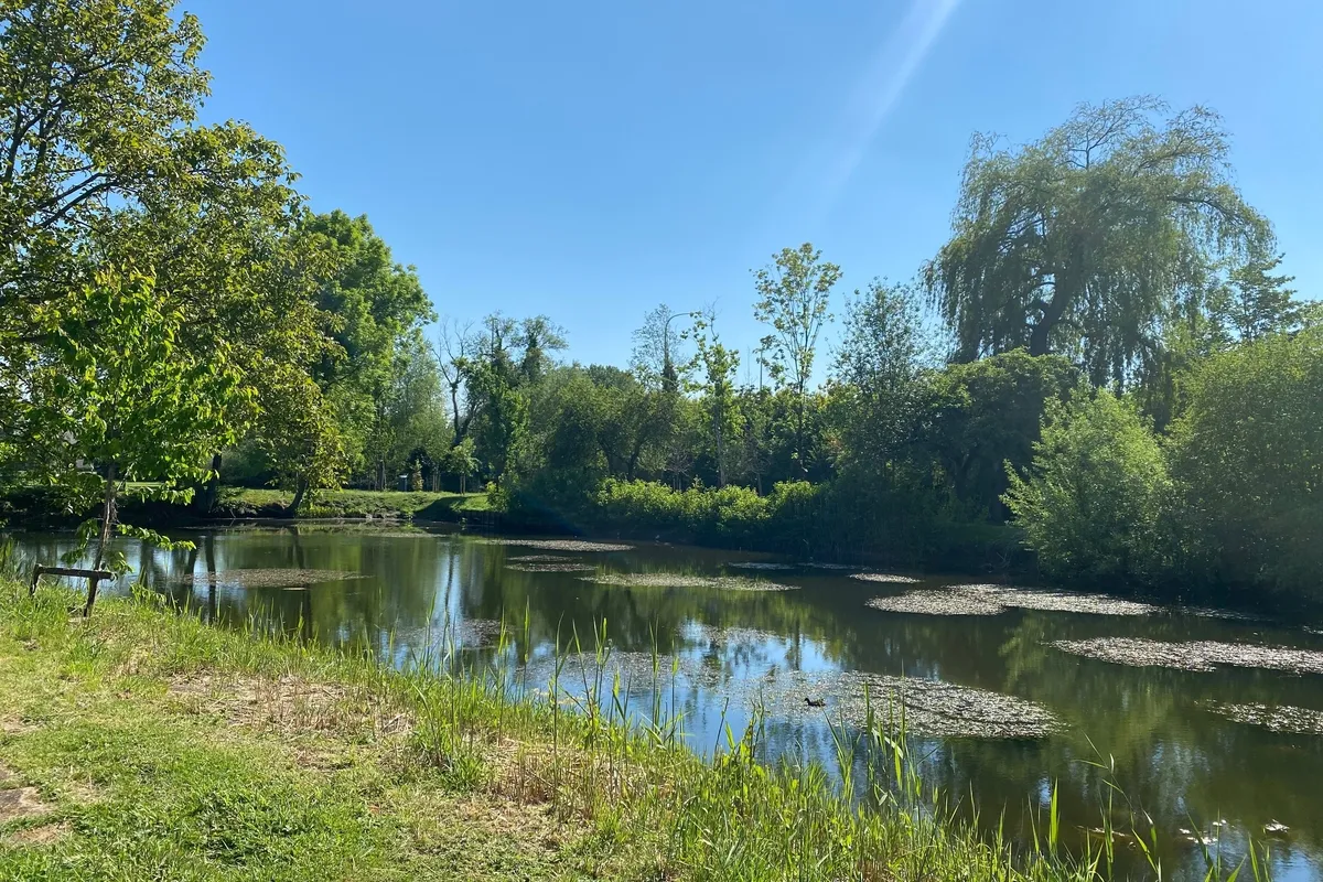 Algemeen natuur Kaandelpark