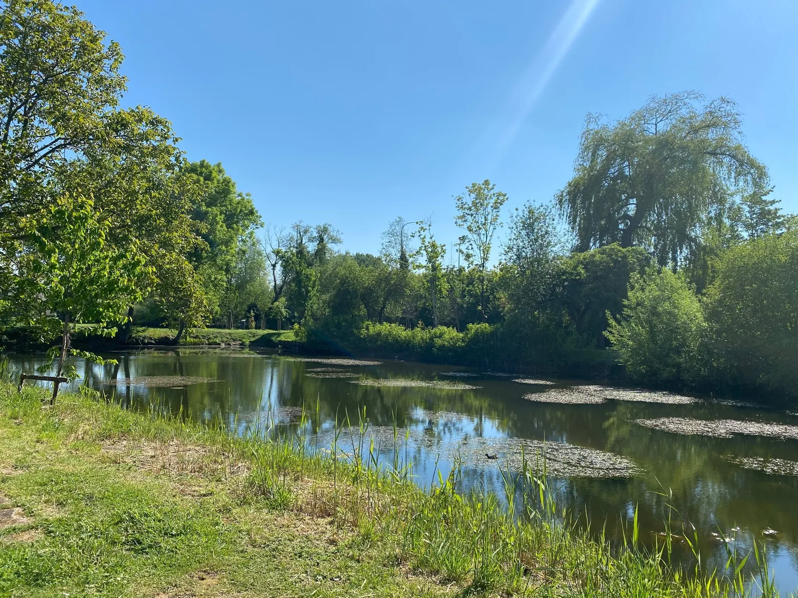 Algemeen natuur Kaandelpark