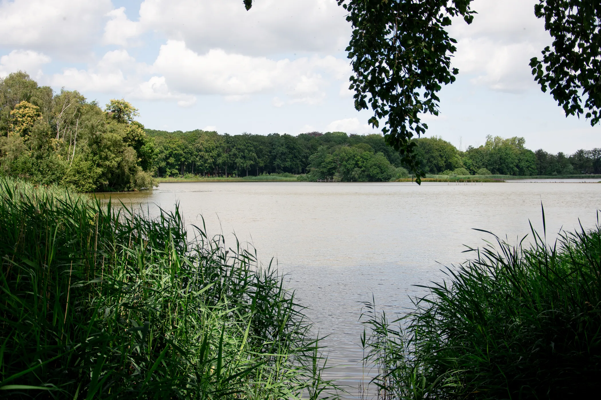 Aalter: landelijke gemeente met groene omgeving, cultuur, lokale winkels, horeca en moderne woonwijken
