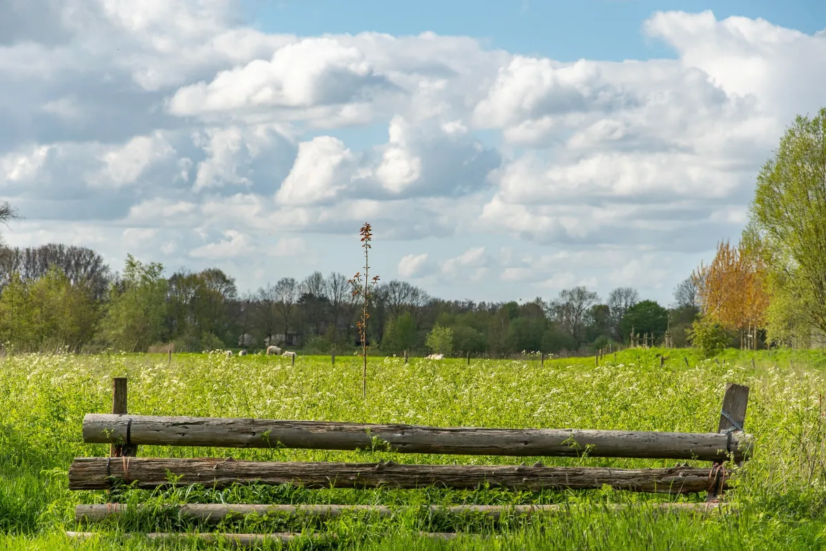 Bachte-Maria-Leerne: landelijke deelgemeente van Deinze met groene omgeving, cultuur, lokale winkels en rustige woonwijken