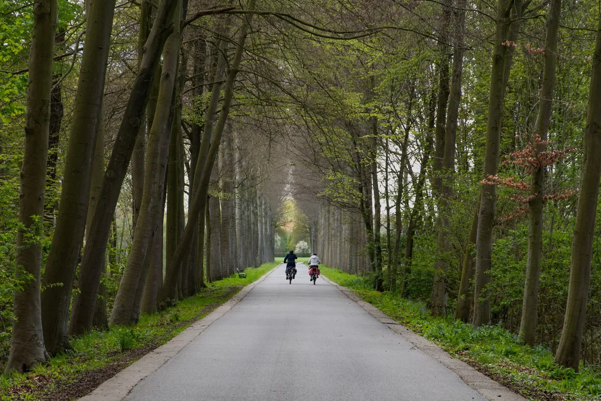 Bachte-Maria-Leerne: landelijke deelgemeente van Deinze met groene omgeving, cultuur, lokale winkels en rustige woonwijken