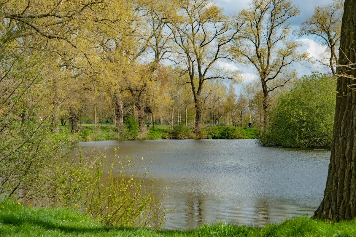 Bachte-Maria-Leerne: landelijke deelgemeente van Deinze met groene omgeving, cultuur, lokale winkels en rustige woonwijken