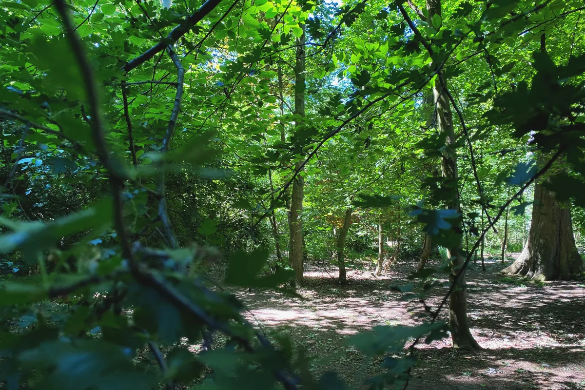 Merelbeke: groene gemeente nabij Gent met parken, natuur, winkels en een vlotte bereikbaarheid