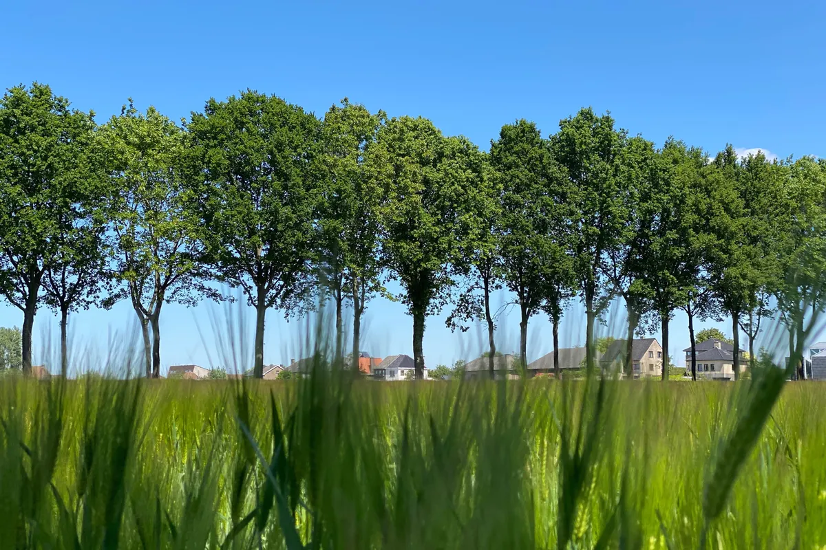 Merelbeke: groene gemeente nabij Gent met parken, natuur, winkels en een vlotte bereikbaarheid