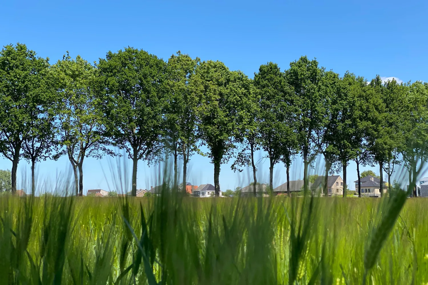Merelbeke: groene gemeente nabij Gent met parken, natuur, winkels en een vlotte bereikbaarheid