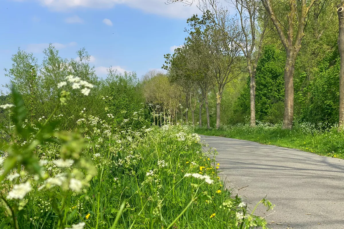 Merelbeke: groene gemeente nabij Gent met parken, natuur, winkels en een vlotte bereikbaarheid