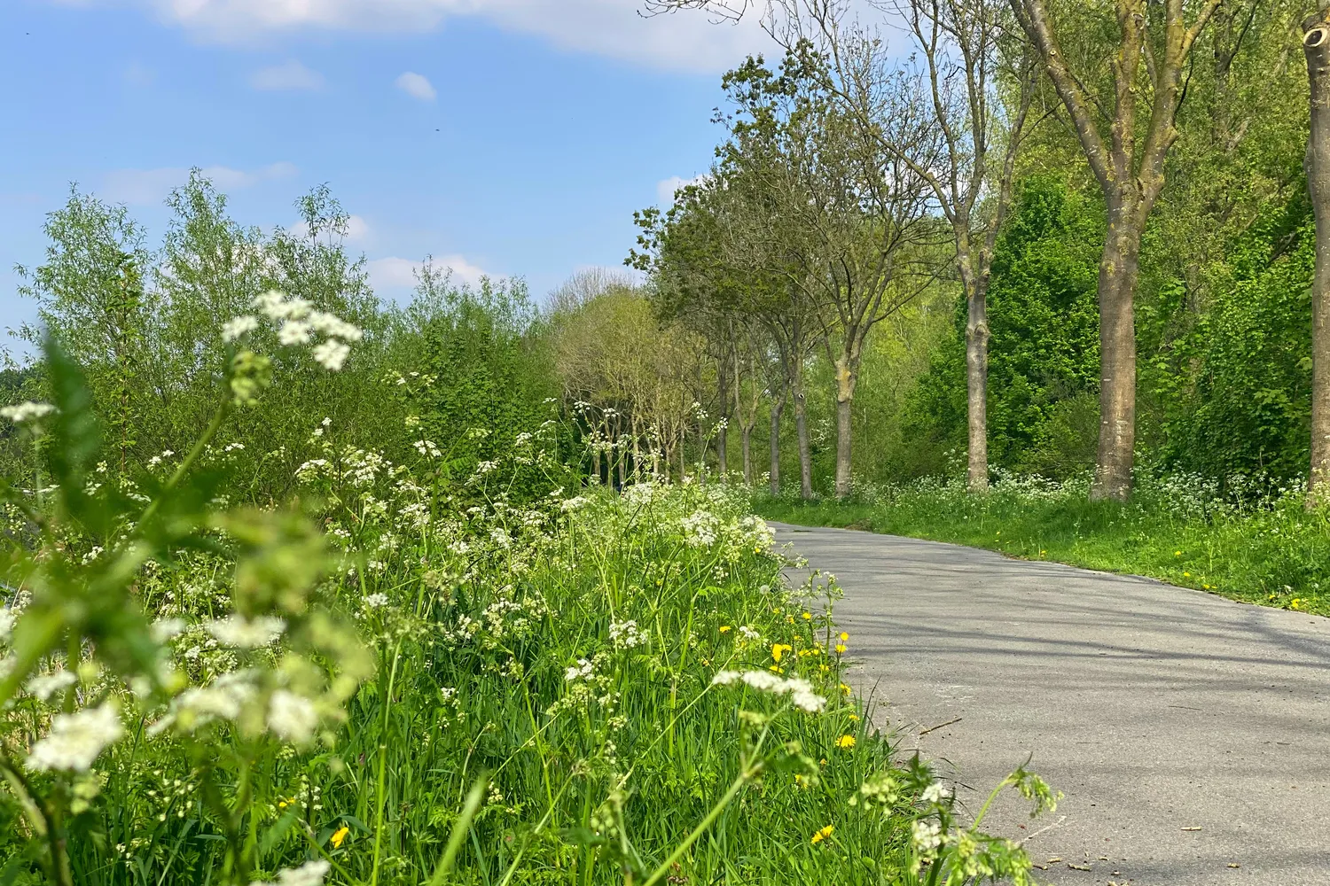 Merelbeke: groene gemeente nabij Gent met parken, natuur, winkels en een vlotte bereikbaarheid