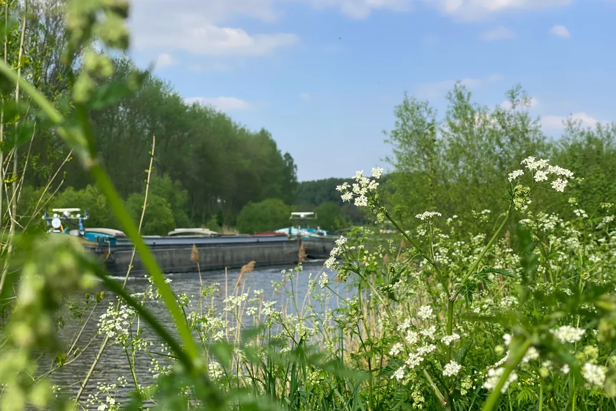 Merelbeke: groene gemeente nabij Gent met parken, natuur, winkels en een vlotte bereikbaarheid