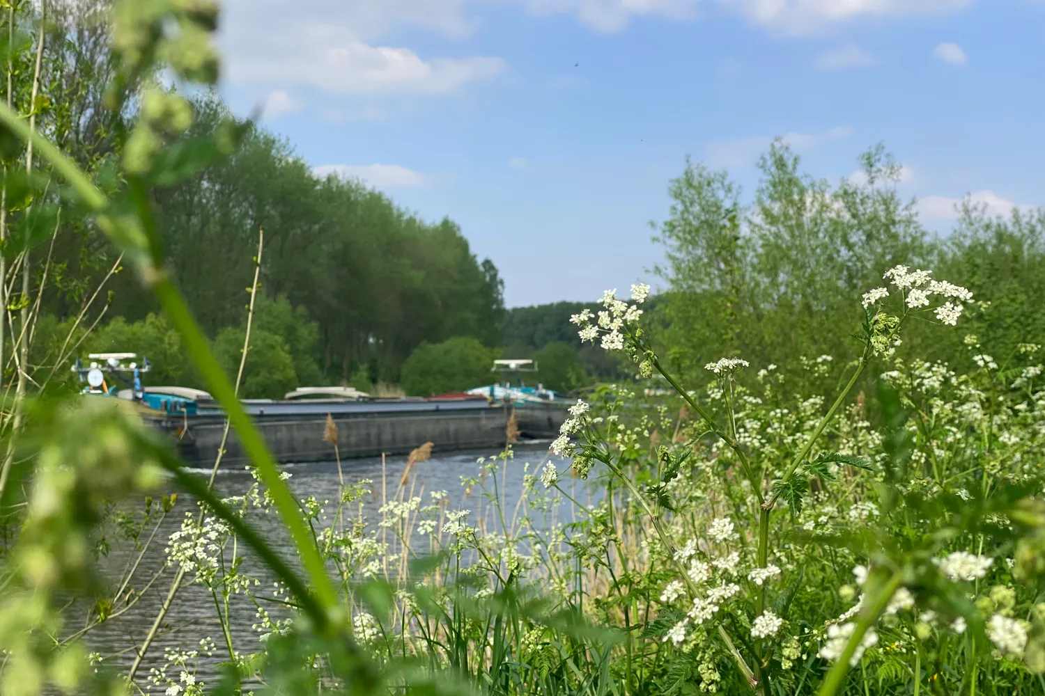 Merelbeke: groene gemeente nabij Gent met parken, natuur, winkels en een vlotte bereikbaarheid