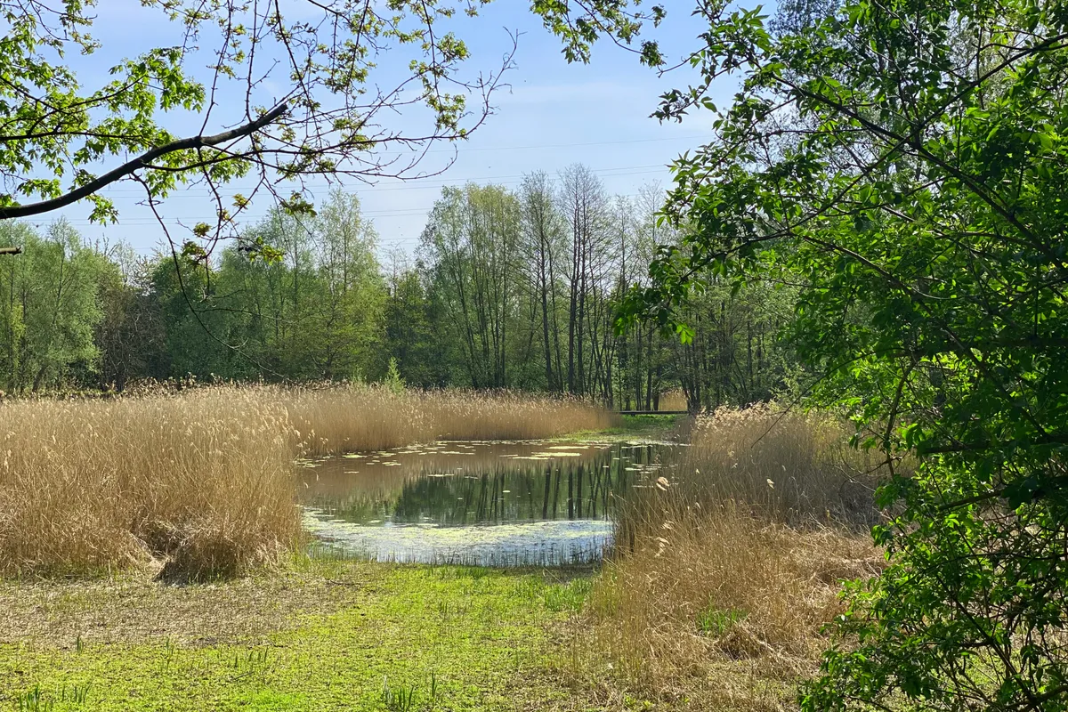 Merelbeke: groene gemeente nabij Gent met parken, natuur, winkels en een vlotte bereikbaarheid