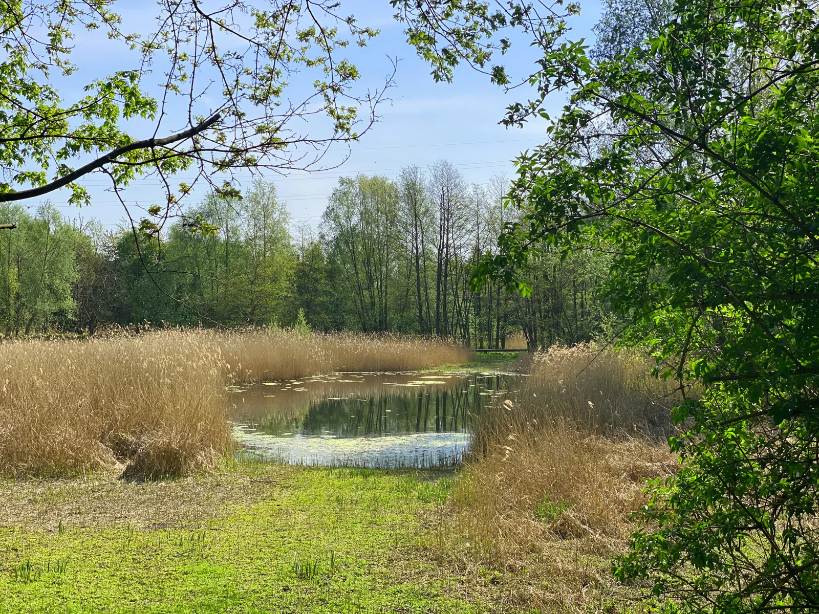 Liedermeerspark1