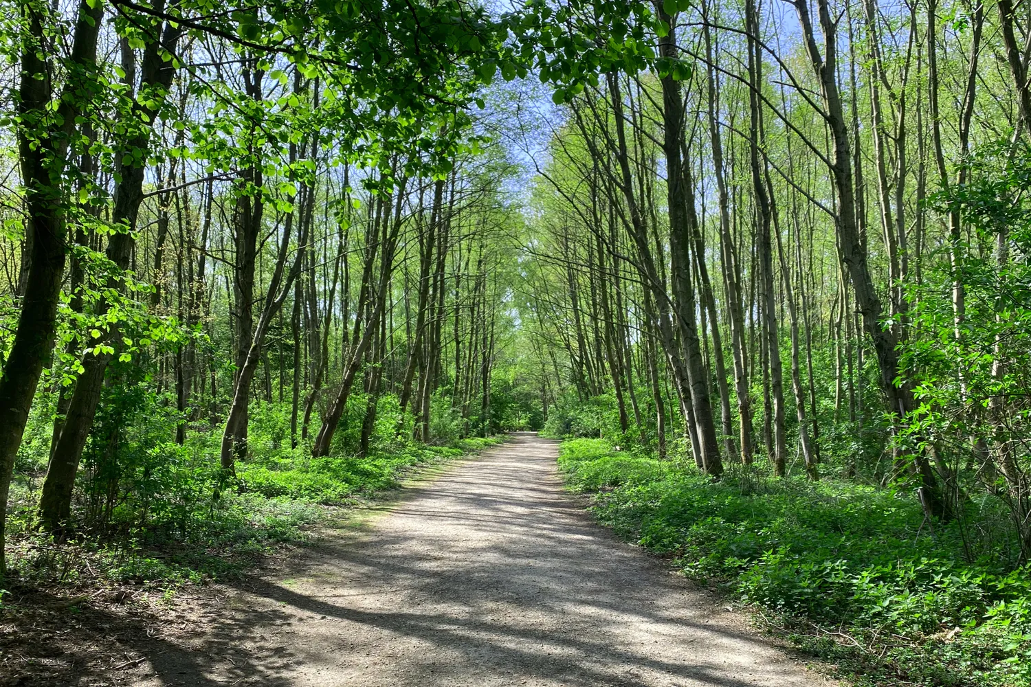 Merelbeke: groene gemeente nabij Gent met parken, natuur, winkels en een vlotte bereikbaarheid