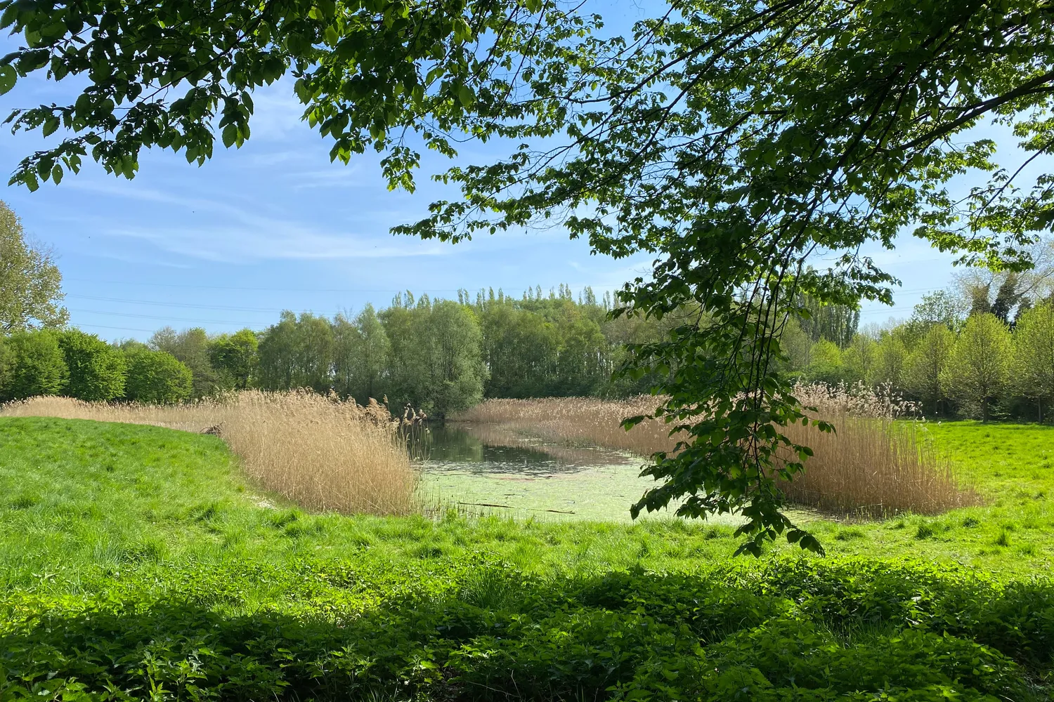 Merelbeke: groene gemeente nabij Gent met parken, natuur, winkels en een vlotte bereikbaarheid