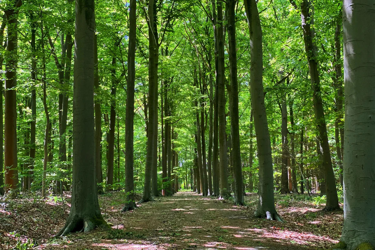 Merelbeke: groene gemeente nabij Gent met parken, natuur, winkels en een vlotte bereikbaarheid
