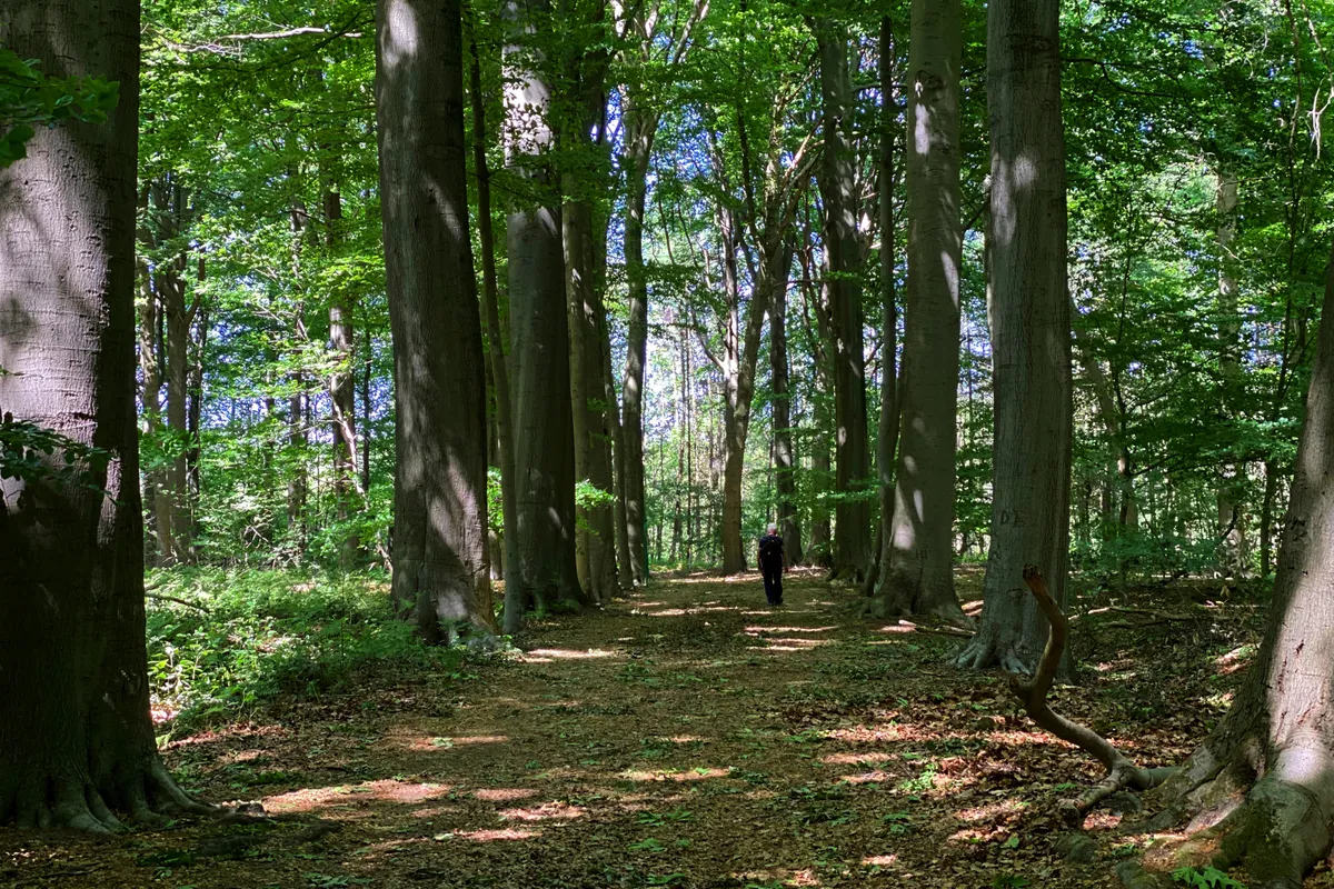 Merelbeke: groene gemeente nabij Gent met parken, natuur, winkels en een vlotte bereikbaarheid