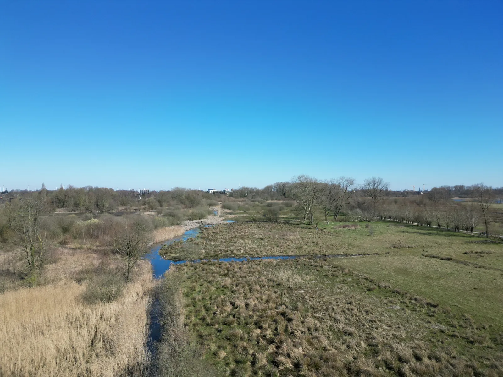 DJI 0308