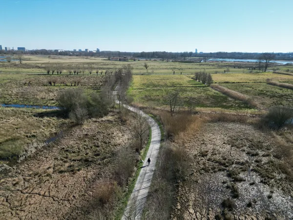 DJI 0314