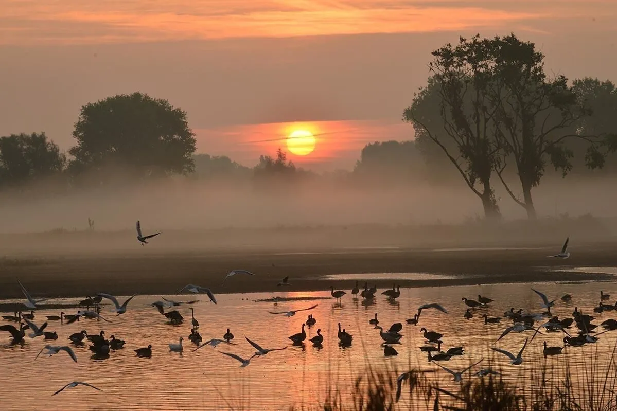 Mariakerke: rustige deelgemeente van Gent met landelijke charme, groene omgeving, lokale winkels, cultuur en moderne woonwijken