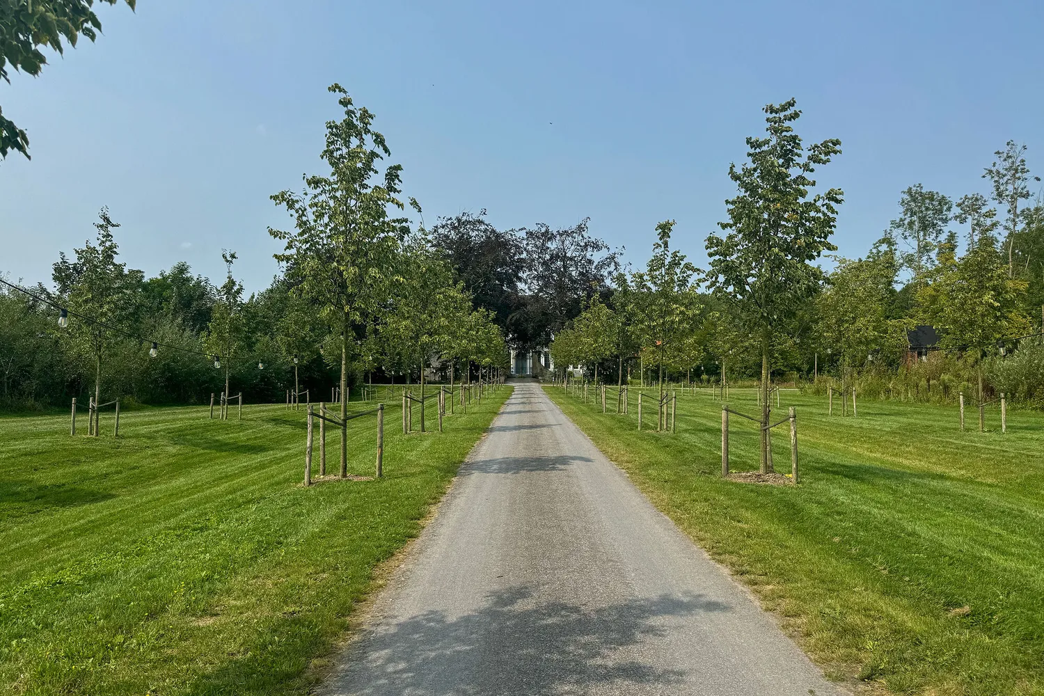 Olsene, deelgemeente van Zulte: landelijke charme met cultuur, lokale winkels en groene omgeving