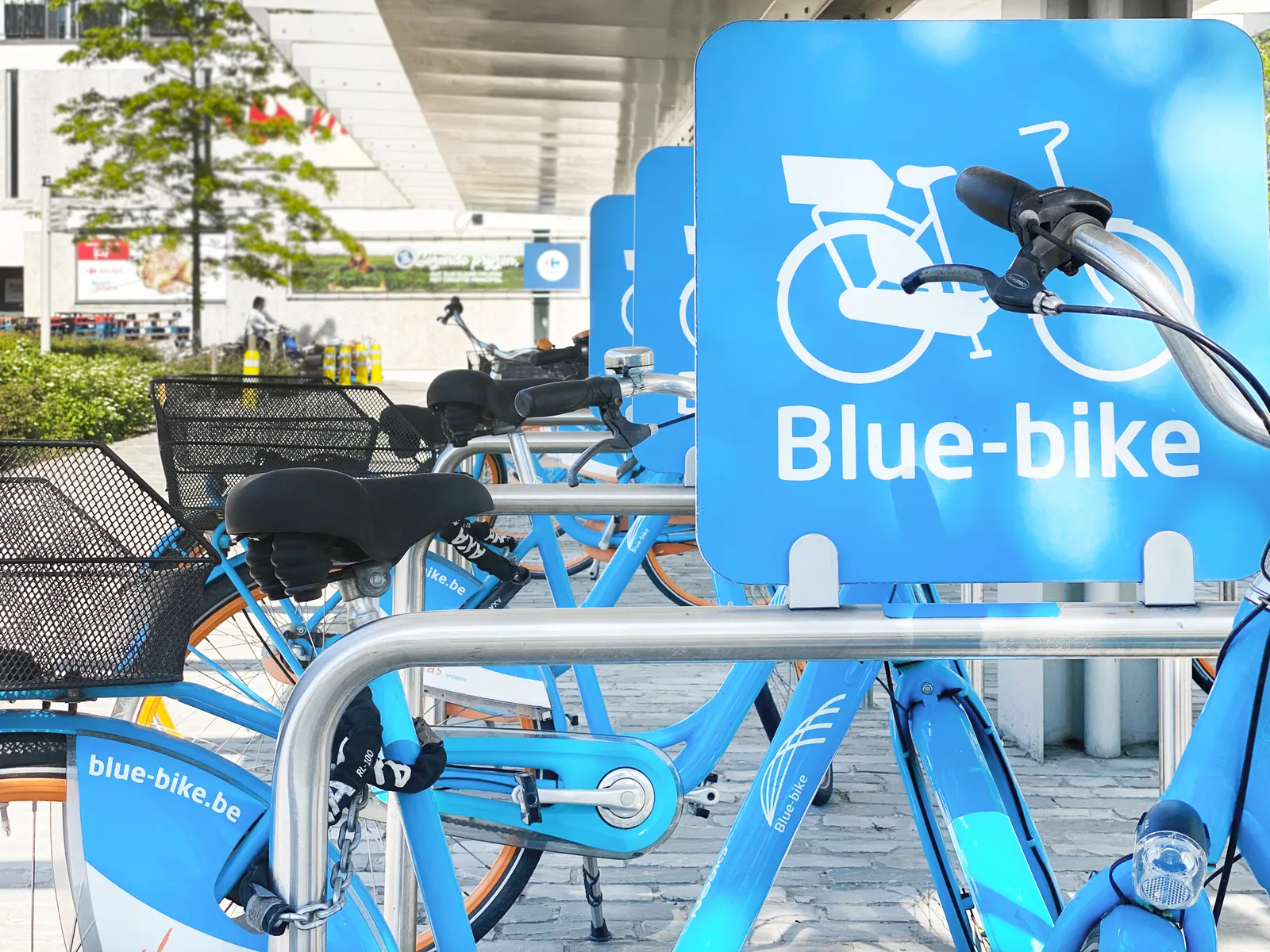Blue-bike Deinze