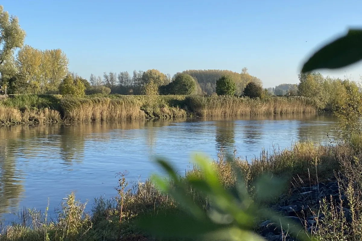 De Schelde in Wetteren
