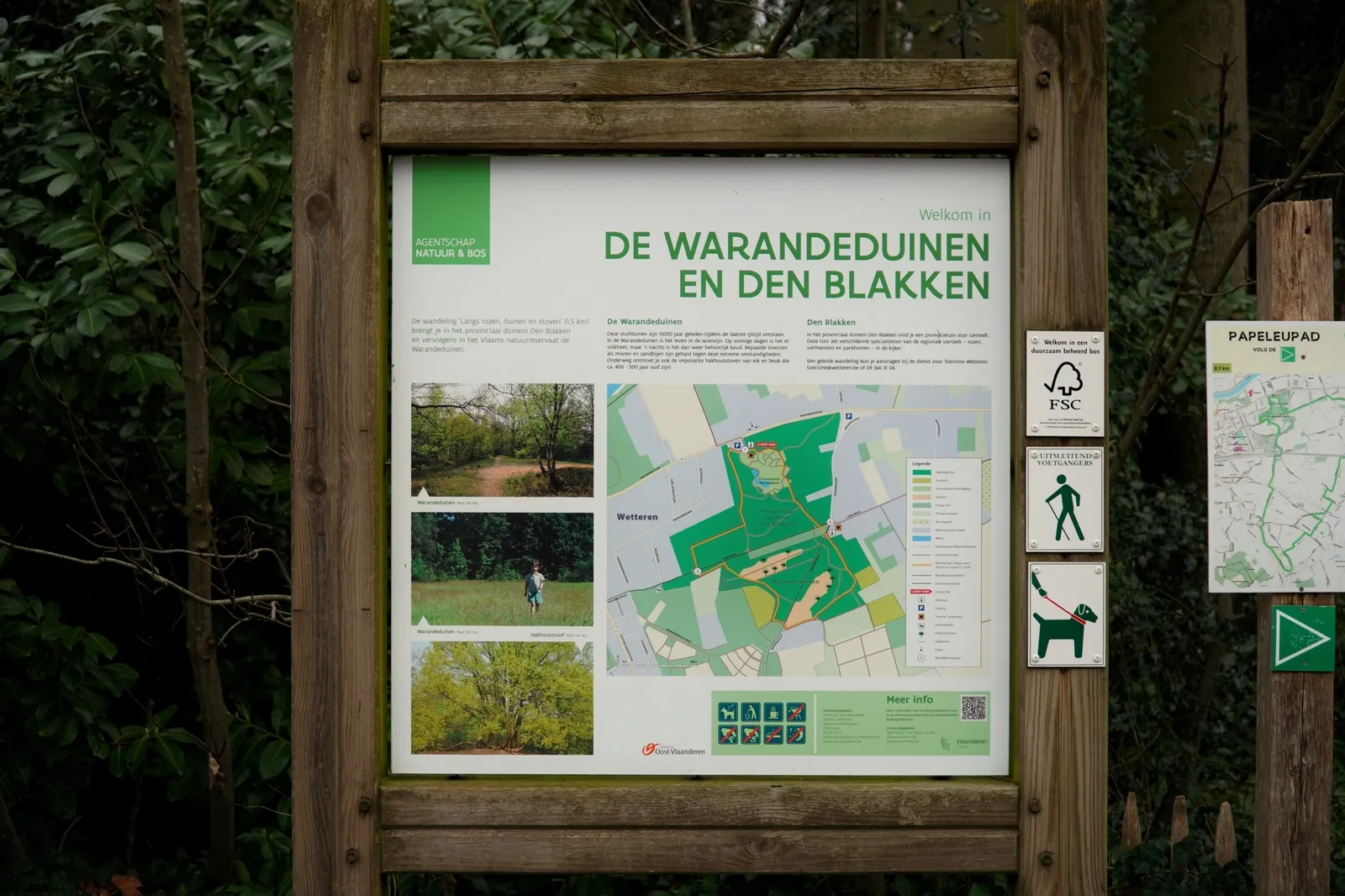 De Warandeduinen in Wetteren