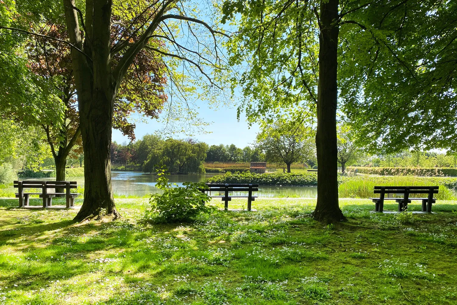 Deinze: historische stad langs de Leie met cultuur en groene parken