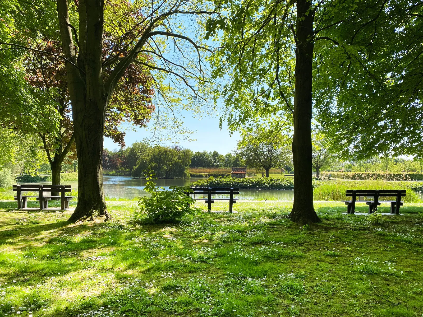 Deinze: historische stad langs de Leie met cultuur en groene parken