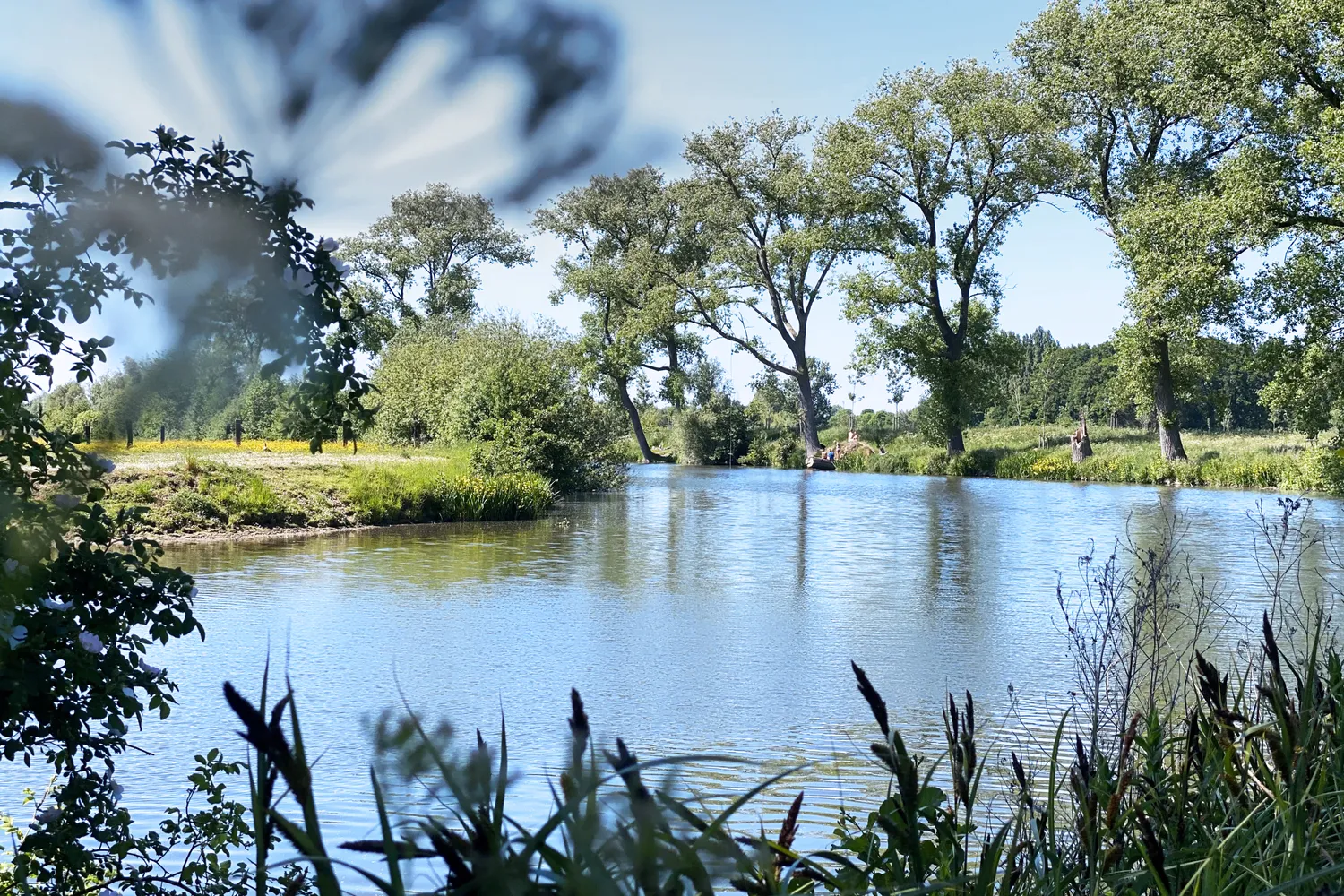Deinze: historische stad langs de Leie met cultuur en groene parken