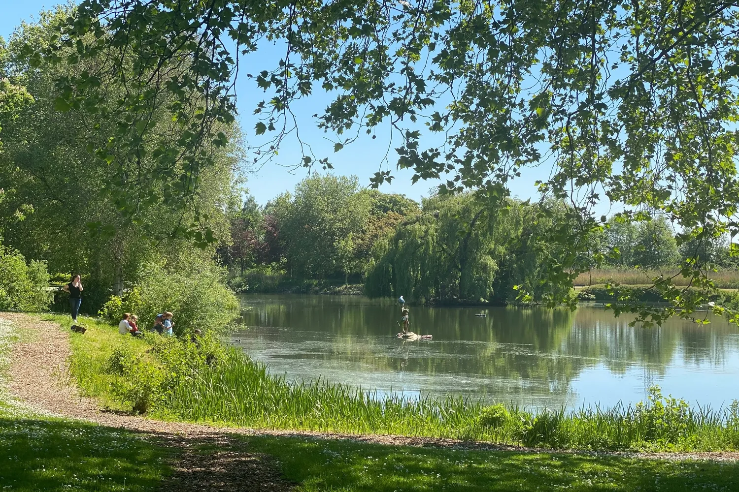 Deinze: historische stad langs de Leie met cultuur en groene parken