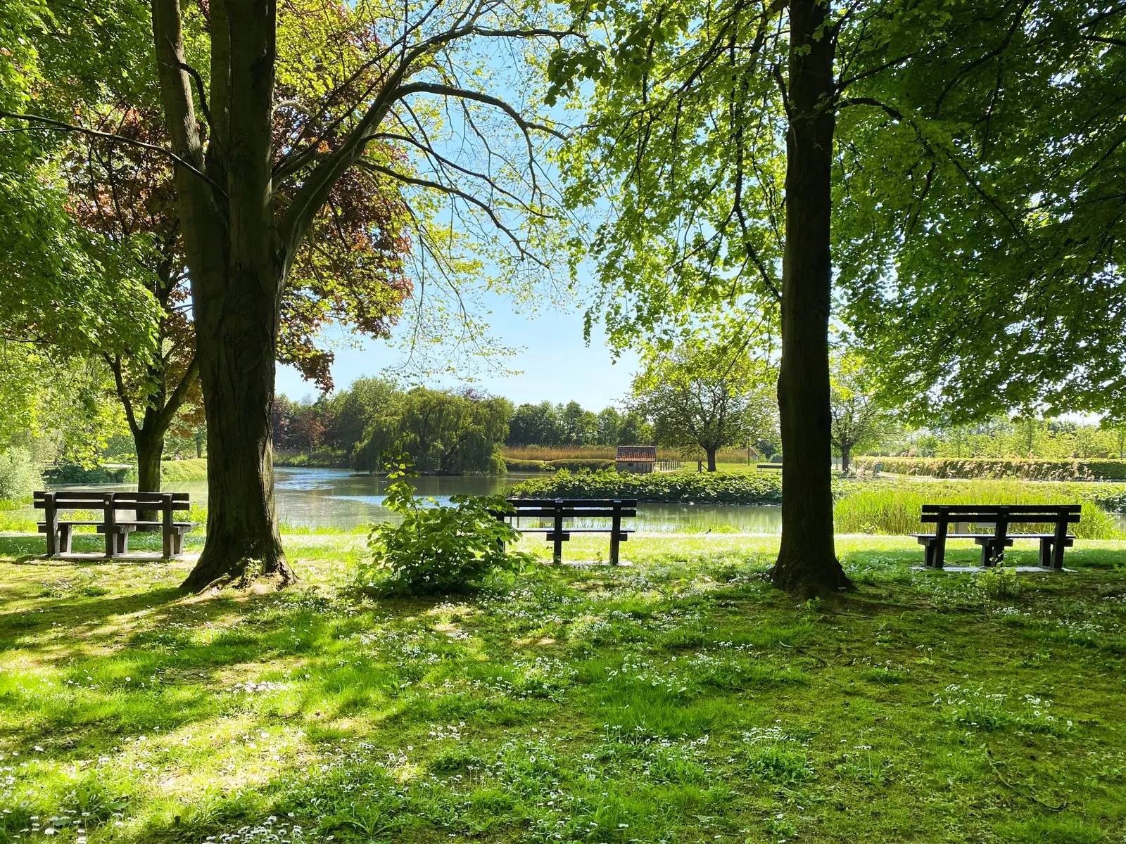 Deinze: historische stad langs de Leie met cultuur en groene parken