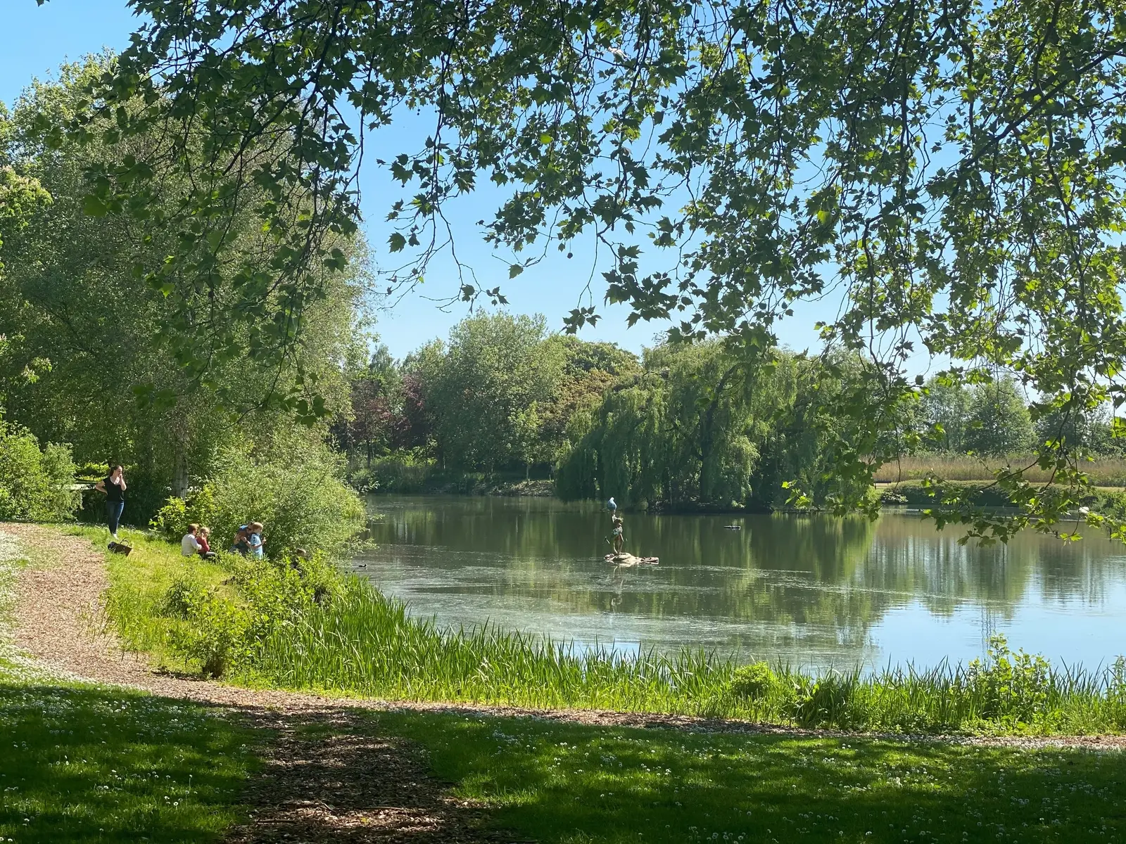 Deinze: historische stad langs de Leie met cultuur en groene parken